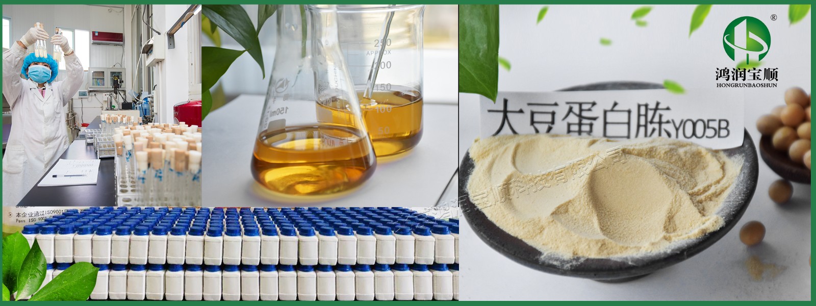 鸿润宝顺大豆蛋白胨您了解多少?